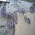 glycine-1.jpg