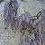 glycine-2.jpg
