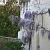 glycine-3.jpg